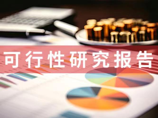 可行性研究報(bào)告